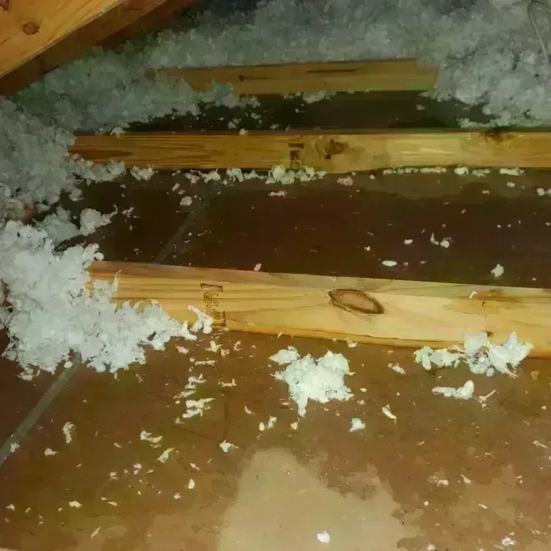 Attic Water Damage in Girard, IL