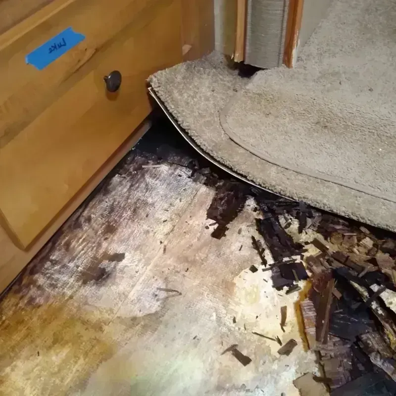 Wood Floor Water Damage in Girard, IL